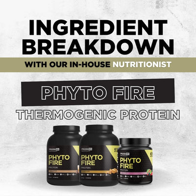 PHYTO FIRE - PROTEIN - INGREDIENT BREAKDOWN WITH OUR NUTRITIONIST