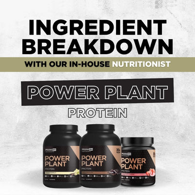 POWER PLANT - PROTEIN - INGREDIENT BREAKDOWN WITH OUR NUTRITIONIST