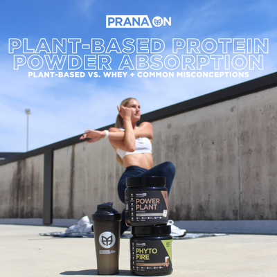 Power Plant by PranaOn: Exploring the Science of Plant-Based Protein Powder vs. Whey Protein