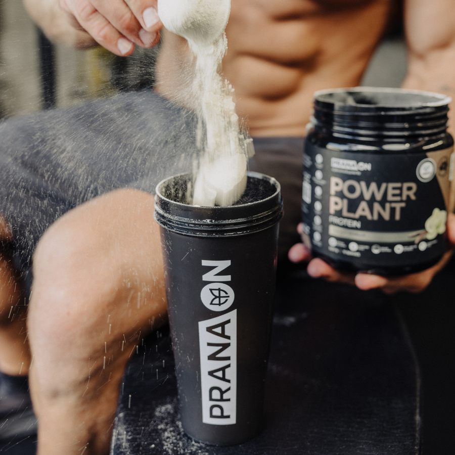 Protein