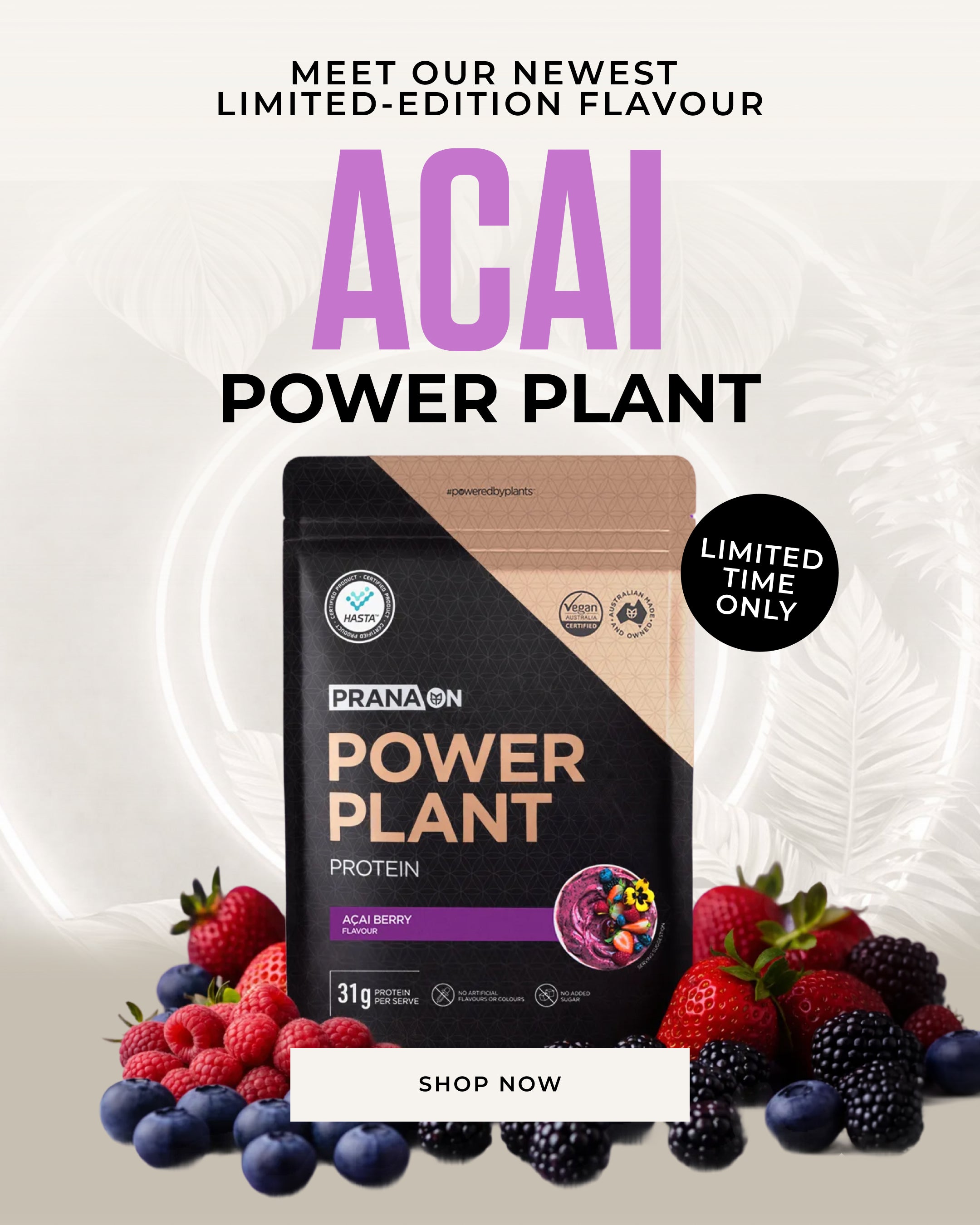 Best Plant Protein Powders - PranaOn: Powered by Plants