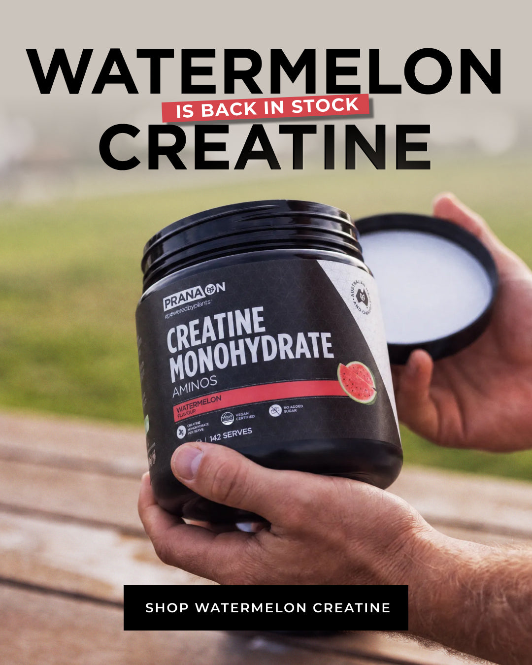 Best Plant Protein Powders - PranaOn: Powered by Plants