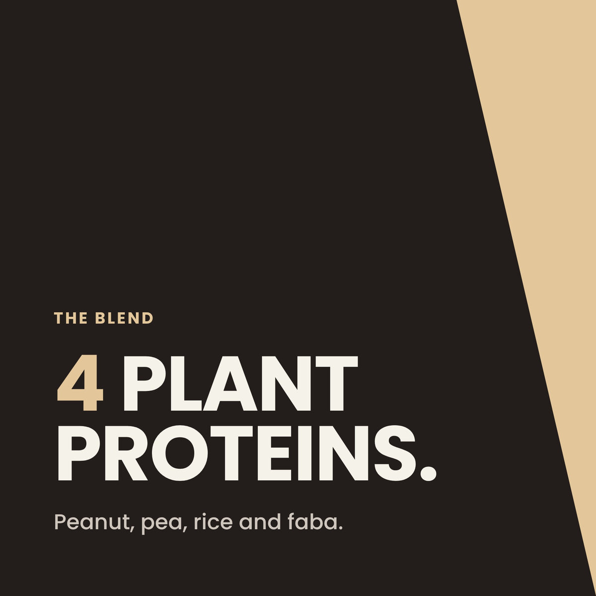 Peanut Protein