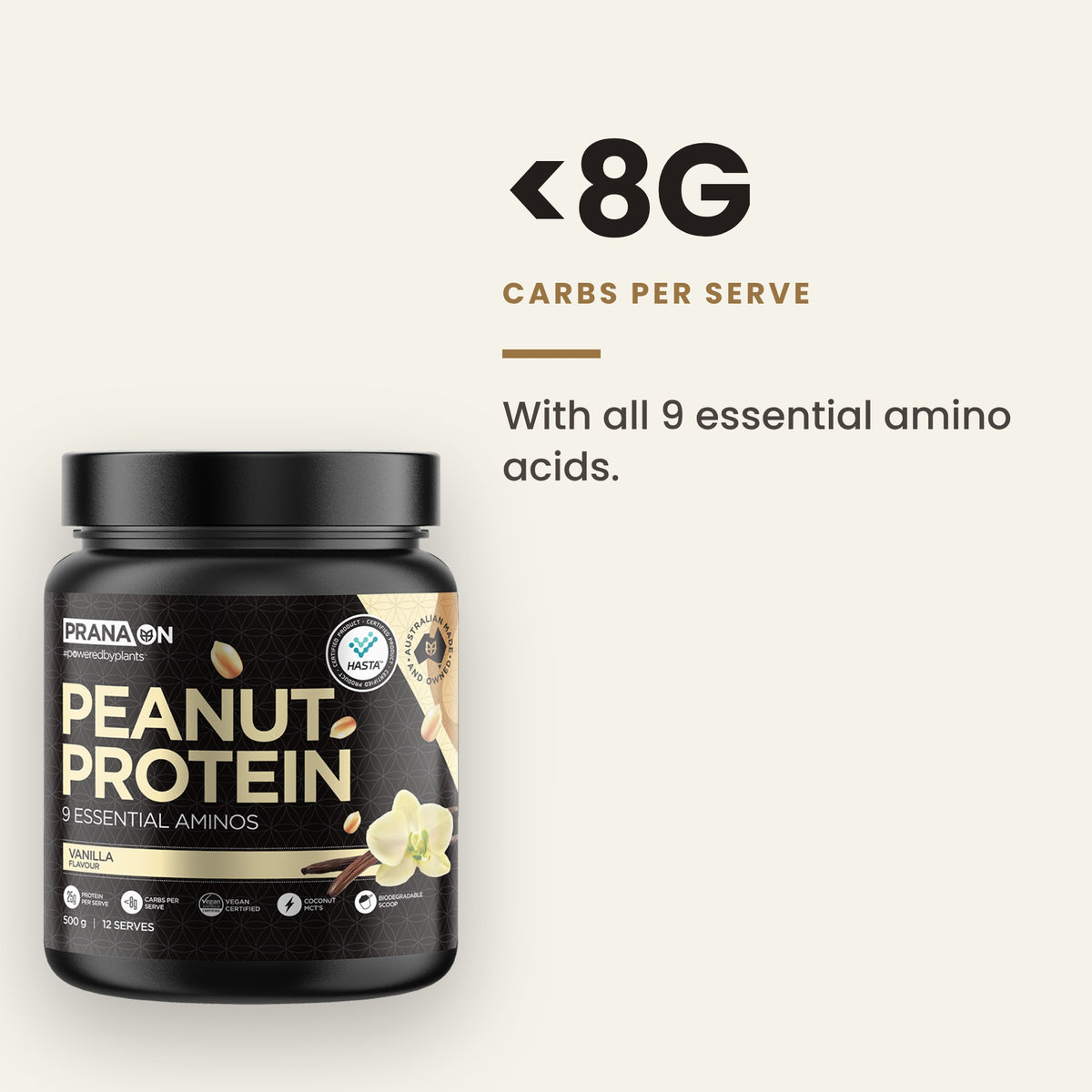 Peanut Protein
