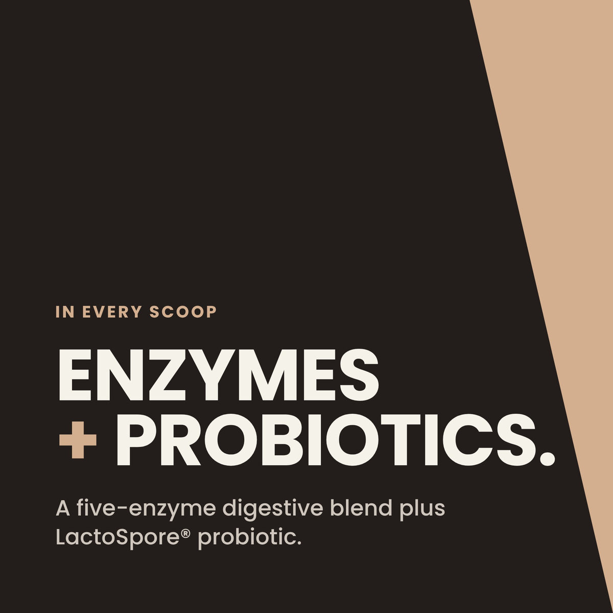 Power Plant Protein